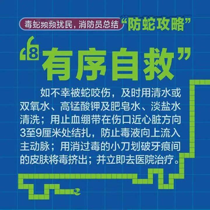 澳门管家婆100%精准准确,警惕虚假宣传,统计解答解释落实_Y49.631